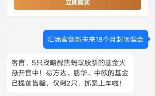 蚂蚁配售基金怎么买？