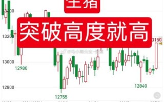 shengzhu期货是什么？有何投资价值？