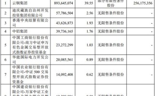 中油财富基金定向增发有何投资价值？