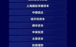 谁是私募股权投资机构的最佳？