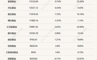 2025公募基金排名如何？哪些基金领跑？