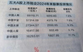 保险公司投资股票有何策略与风险？