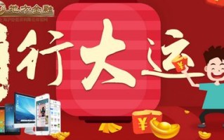 沪臣投资是地方金融的何种角色？