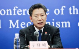 基金经理王登峰的基金表现如何？