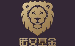 诺安积极配置混合基金值得入手吗？