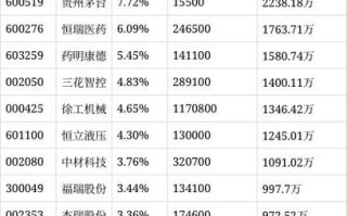大摩卓越成长混合基金