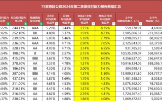 哪家保险公司投资收益率最高？
