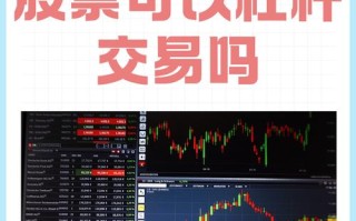 期货杠杆最大品种是哪个？