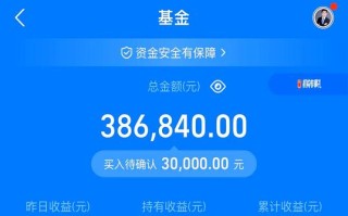 申万基金163113表现如何？