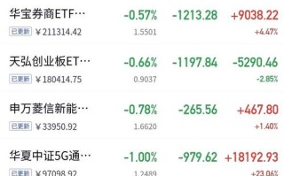 110010基金今天净值查询