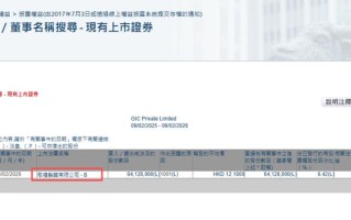 新加坡GIC投资公司有何投资策略与影响力？