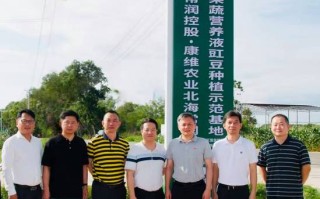 深圳农业投资有限公司做什么的？