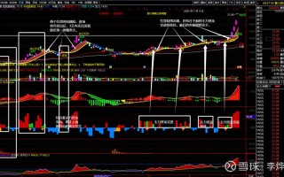 期货主连究竟指什么？