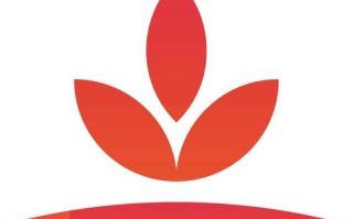 大成新锐产业混合基金怎么样？