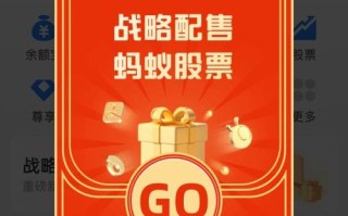 蚂蚁战略配售基金怎么查？