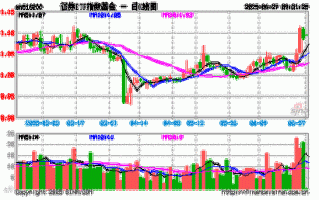 大摩华鑫基金000064