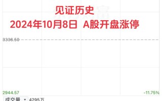 为何股指期货八选海证期货？