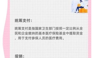 统筹基金支付是什么意思