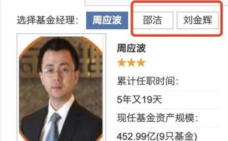 配售蚂蚁股票的基金经理表现如何？