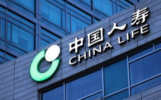 中国人寿投资管理部有何投资策略？