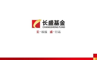 长盛投资集团有限公司是做什么的？