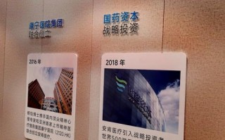 sig海纳亚洲创投基金有何投资策略？