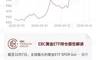 2025投资公司跑路，为何频发难追回？