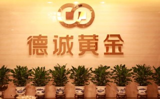 德众金融投资理财平台安全吗？