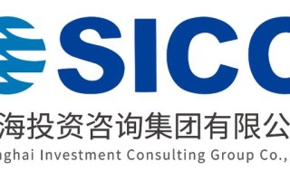 致上投资咨询有限公司有何业务优势？