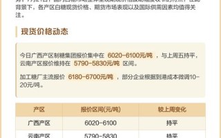 今日白糖期货价格行情如何？