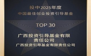 广西政府投资引导基金如何引导投资？