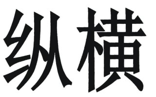 远见投资管理有限公司有何独特优势？