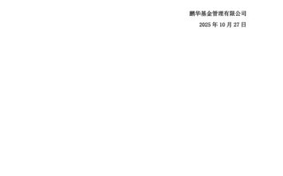 鹏华消费优选基金206007表现如何？