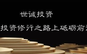 上海世诚投资管理有限公司有何独特优势？