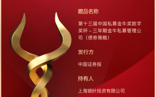 上海银叶投资有限公司是做什么的？