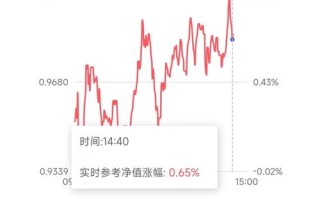 基金200007今日净值是多少？