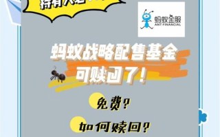 蚂蚁配售基金怎么买？