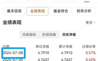 003858基金净值今日多少？