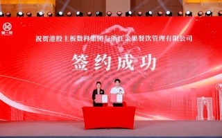 申彤大大投资有限公司