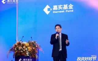 嘉实基金001036表现如何？