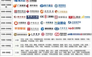 中国证券投资者保护基金公司如何保护投资者权益？