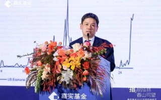 嘉实驱动股票基金001416表现如何？