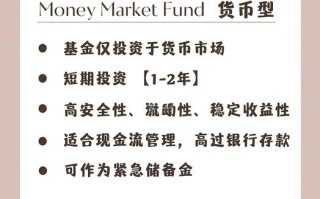 股票型基金有何特点与风险？