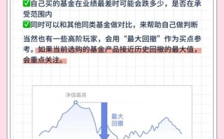 基金市场风险管理案例有哪些关键启示？