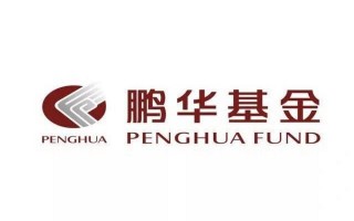 鹏华新兴产业基金206009表现如何？