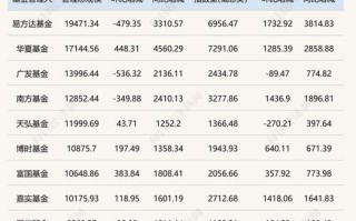 基金公司子公司规模如何？