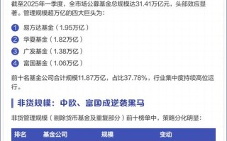 2025公募基金排名