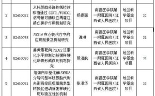 国家自然科学基金怎么查？