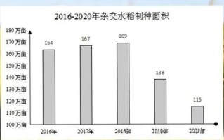 早籼稻期货基本面如何演绎？