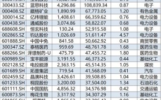 社保基金新进股票好吗